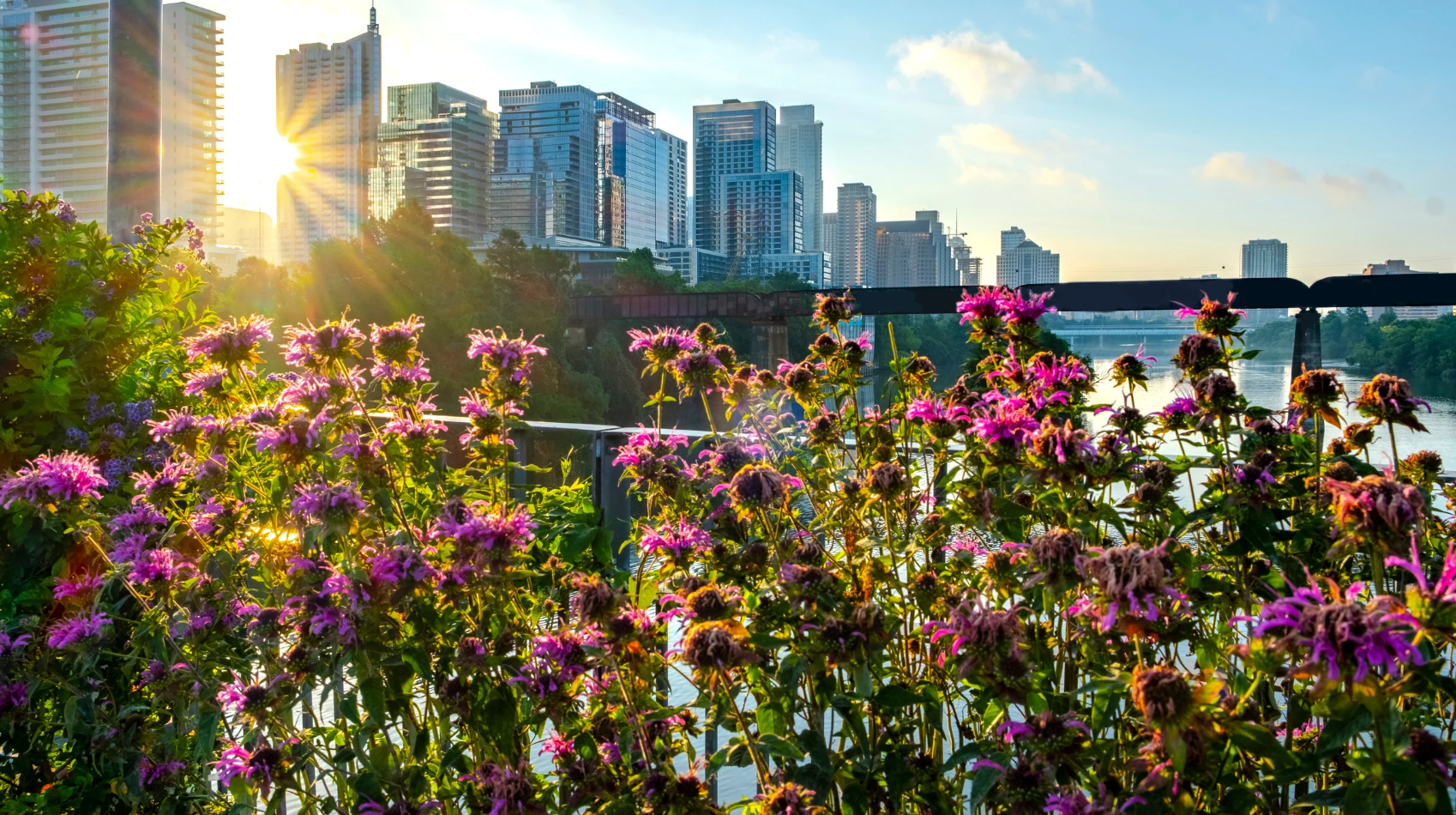 How Does Austin Balance Growth With Environmental Protection?